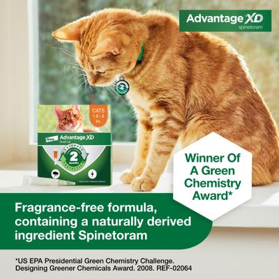 Bundle: Advantage XD Small Cat Treatment, 2 count + Pet Protect Free Form Omega-3 Fish Oil Liquid Supplement for Small Dogs & Cats, 4-fl oz bottle