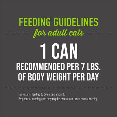 Luau Ahi Tuna & Mackerel in Tuna Consomme Grain-Free Canned Cat Food, 2.8-oz, case of 12