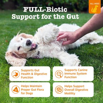 Vet Strength Pre, Post, & Probiotic Soft Chews Gut Flora & Digestive Supplement for Dogs, 90 count