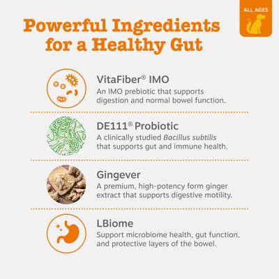 Vet Strength Pre, Post, & Probiotic Soft Chews Gut Flora & Digestive Supplement for Dogs, 90 count