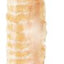 Beef Trachea 12" Dog Treat