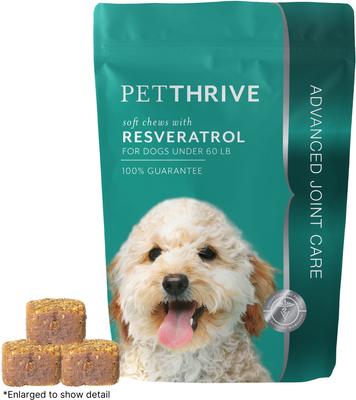 Soft Chews with Resveratrol for Dogs Under 60-lb, 12-oz bag