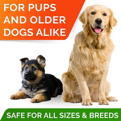 Omega 3 Fish Oil Pills & Skin & Coat Supports Joints Brain Heart & Overall Health Supplement for Dogs, 180 count