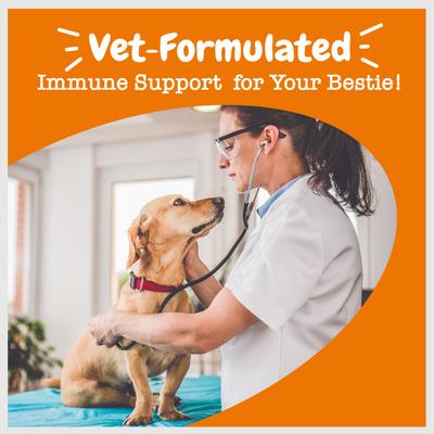 Vet Strength Allergy & Immune Bites, Aceite de Pescado masticable para perros, 90 unidades