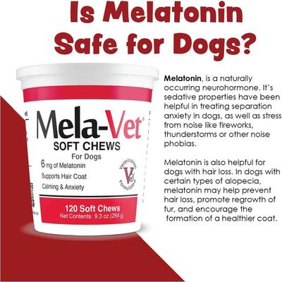 Soft Chew Skin & Coat Supplement for Dogs & Cats, 120 count