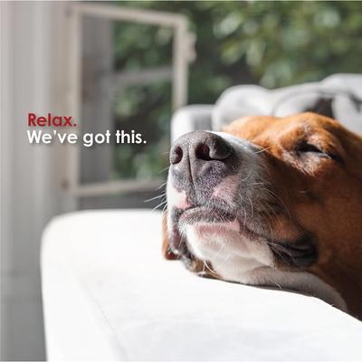 Soft Chew Skin & Coat Supplement for Dogs & Cats, 120 count