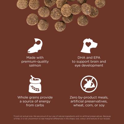 Skin + Coat with Grains Puppy Large Breed Recipe Dry Dog Food, 12-lb bag