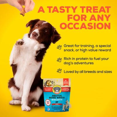 Bone Broth Beef Biscuits Natural Limited Ingredient Crunchy Dog Treats, 8-oz bag