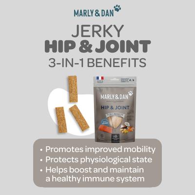 Healthy & Functional Salmon Jerky Treats for Dogs, Hip & Joint Recipe, 6oz bag