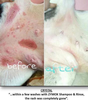 Veterinary Strength Enzymatic Dog & Cat Leave-on Conditioner, 12-fl oz bottle