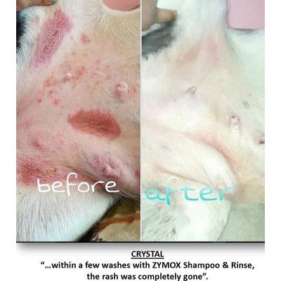 Acondicionador enzimático sin enjuague para perros y gatos de potencia veterinaria, botella de 355 ml