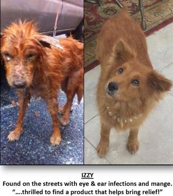 Veterinary Strength Enzymatic Dog & Cat Leave-on Conditioner, 12-fl oz bottle