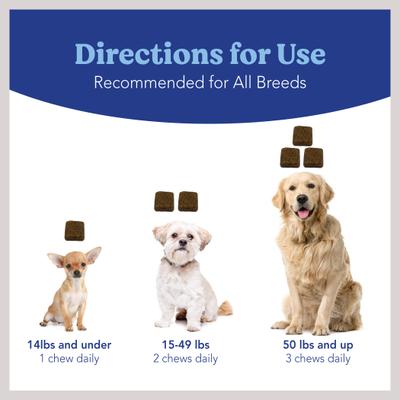 Natural Chicken Flavored Soft Chew Tear Stain Supplement for Dogs & Cats, 120 count