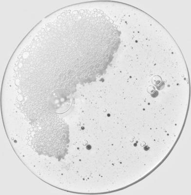 Soothing Oatmeal Dog, Cat & Small Pet Shampoo, 16.9-fl oz bottle