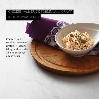 Gold Chicken & Duck Formula in Gravy Grain-Free Wet Cat Food, 2.82-oz, case of 24