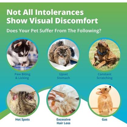 Prueba de salud para perros, gatos y mascotas pequeñas