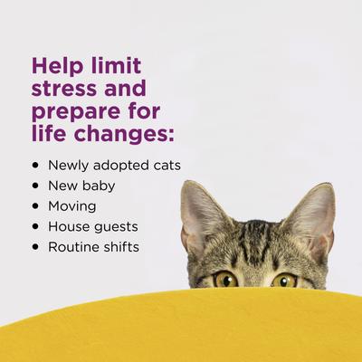 Recambio de difusor de feromonas calmantes para gatos, 30 días de duración, 6 unidades