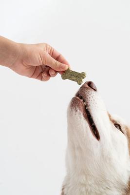 Minty Breath Bones Crunchy Dog Treats, 4-oz bag