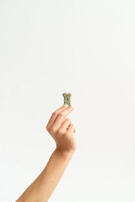 Minty Breath Bones Crunchy Dog Treats, 4-oz bag