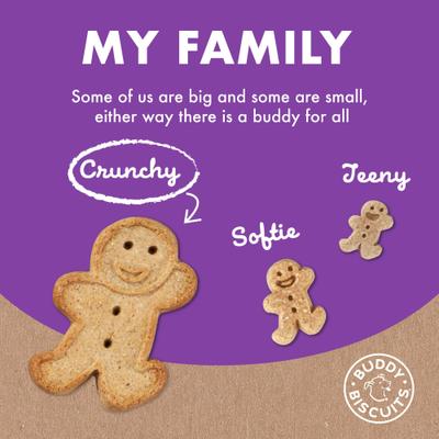 Assorted Flavors with Roasted Chicken, Grilled Beef, Sharp Cheddar Dog Treats, 16-oz box