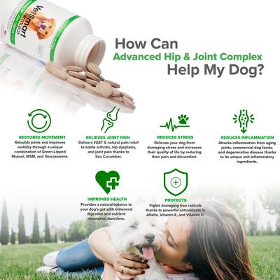 Suplemento articular masticable avanzado para perros, 120 comprimidos, paquete de 6