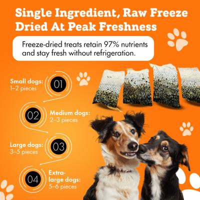 All-Natural Salmon Skins Human-Grade Freeze-Dried Dog Treats, 3-oz bag