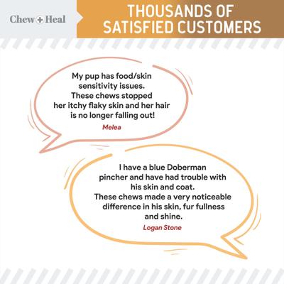 Omega Skin + Coat Chicken & Original Peanut Butter Flavored Soft Chew Bundle Supplement for Dogs, 360 count