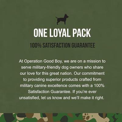 Peanut Butter Flavored Skin Health & Allergy Supplement for Dogs, 90 count