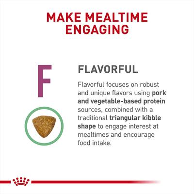 Adult Renal Support F Dry Cat Food, 3-lb bag