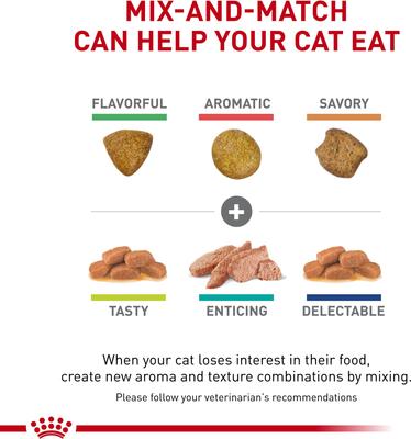 Adult Renal Support F Dry Cat Food, 3-lb bag