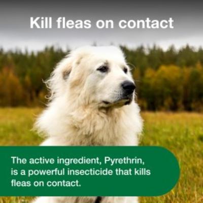 Topical & Indoor Flea & Tick Spray for Dogs, 15-fl oz bottle