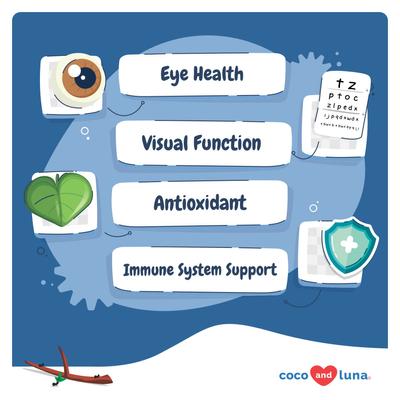 Coco and Luna Eye Support Soft Chew Vision Supplement for Dogs, 90 count