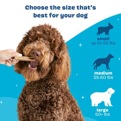 Bright Large Chicken Flavored Dental Dog Treats, 30 count