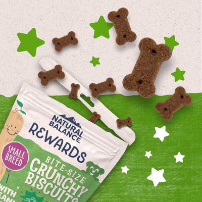 Rewards Small Breed Peanut Butter Flavored Crunchy Biscuit Dog Treats, 8-oz bag