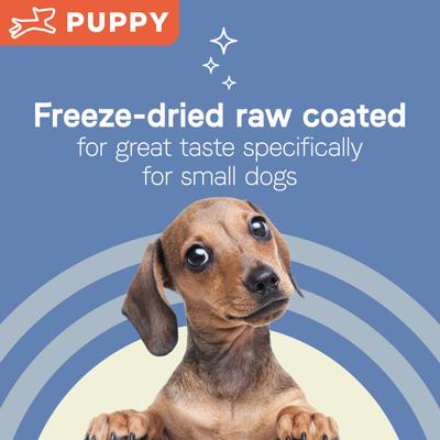 Pure Petite Premium Recipe Puppy Chicken & Wholesome Grains Dry Dog Food, 4-lb bag