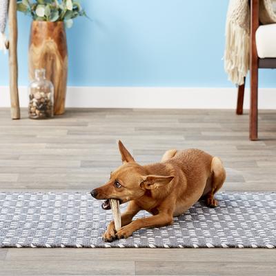 Masticable para perros de asta de alce entera salvaje, extra pequeño