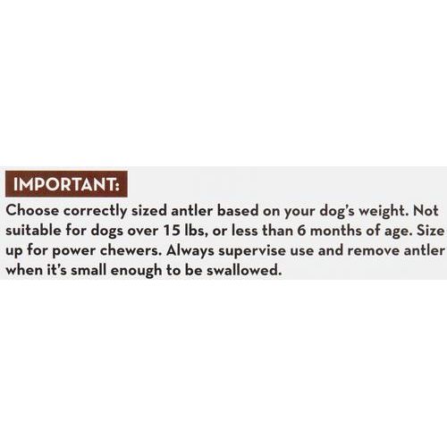 Masticable para perros de asta de alce entera salvaje, extra pequeño