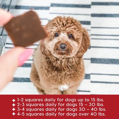 Suplemento masticable blando para articulaciones con sabor a carne de res Joint Rescue para perros, bolsa de 9 oz