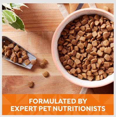 Grain-Free Chicken, Sweet Potato & Pumpkin Recipe Dry Dog Food, 12-lb bag