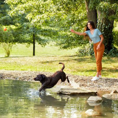 Grain-Free Chicken, Sweet Potato & Pumpkin Recipe Dry Dog Food, 12-lb bag