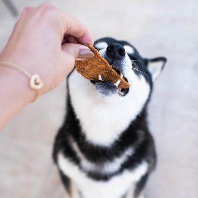 Golosinas para perros con pollo asado lentamente, bolsa de 16 oz