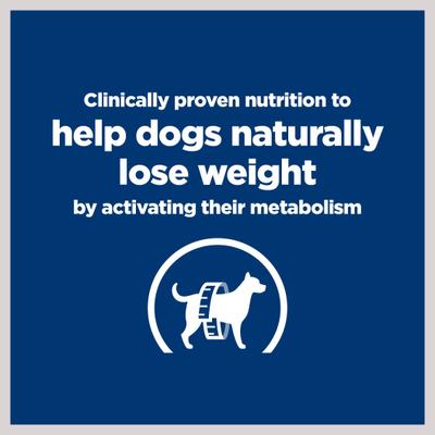 Metabolic Chicken Flavor Wet Dog Food, 13-oz, case of 12
