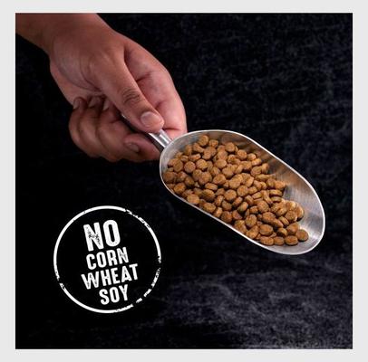 High Protein Beef Adult Grain-Free Dry Dog Food, 22-lb bag