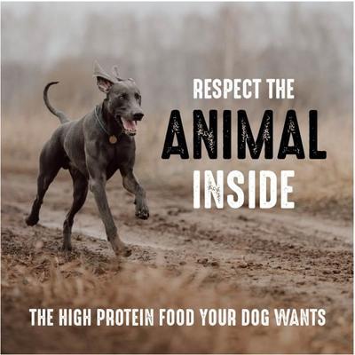 High Protein Beef Adult Grain-Free Dry Dog Food, 22-lb bag