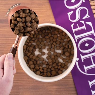 with Lamb Meal & Rice Formula Dry Dog Food, 40-lb bag