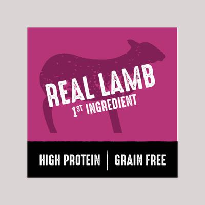 High Protein Lamb Adult Grain-Free Dry Dog Food, 22-lb bag