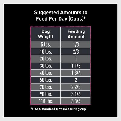 High Protein Lamb Adult Grain-Free Dry Dog Food, 22-lb bag