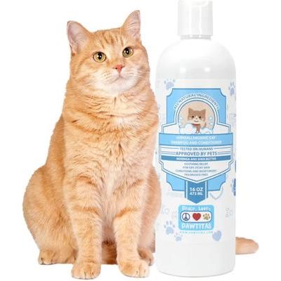 Champú y acondicionador orgánico de manteca de karité y avena para gatos, botella de 16 onzas líquidas