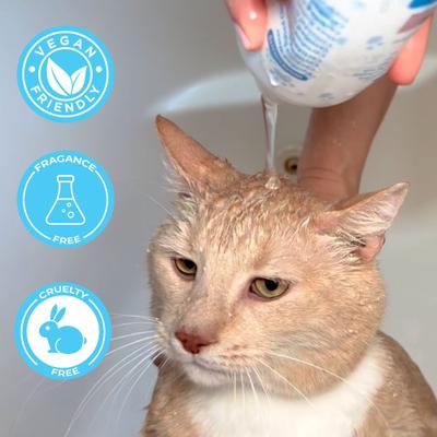 Organic Sheabutter & Oatmeal Cat Shampoo & Conditioner, 16-fl oz bottle