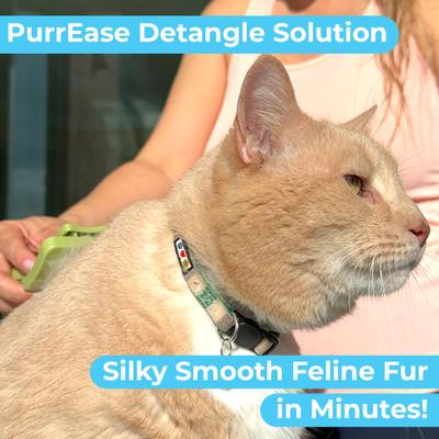 Organic Sheabutter & Oatmeal Cat Shampoo & Conditioner, 16-fl oz bottle